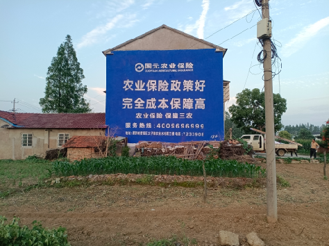 屏南墙体广告为何受追捧？